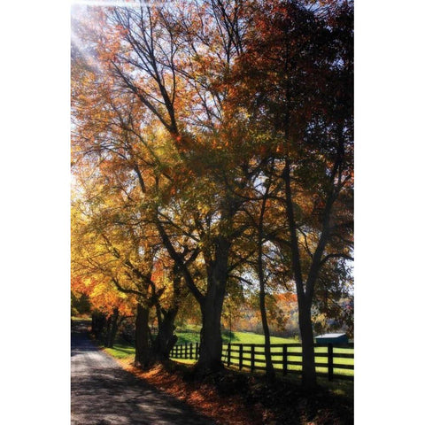 Country Road IV White Modern Wood Framed Art Print by Hausenflock, Alan