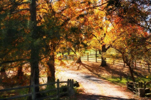 Autumn on Kent Farm I Black Ornate Wood Framed Art Print with Double Matting by Hausenflock, Alan