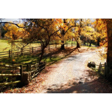 Autumn on Kent Farm II White Modern Wood Framed Art Print by Hausenflock, Alan