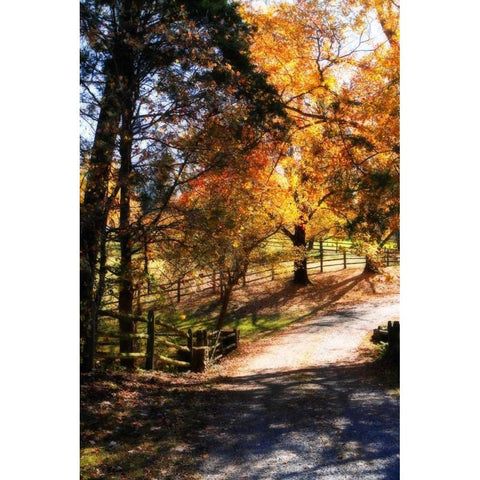 Autumn on Kent Farm III White Modern Wood Framed Art Print by Hausenflock, Alan