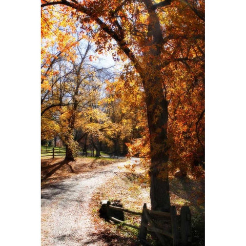 Autumn on Kent Farm IV White Modern Wood Framed Art Print by Hausenflock, Alan