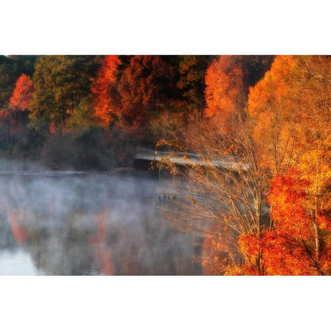 Cold Autumn Morning II Black Modern Wood Framed Art Print by Hausenflock, Alan