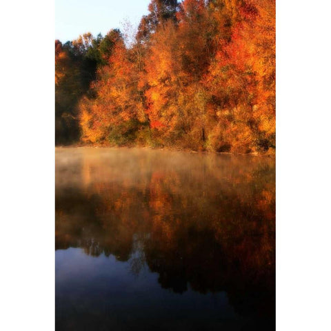 Autumn Mist II Black Modern Wood Framed Art Print with Double Matting by Hausenflock, Alan