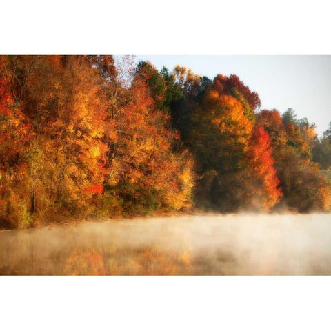 Autumn Mist III Black Modern Wood Framed Art Print with Double Matting by Hausenflock, Alan