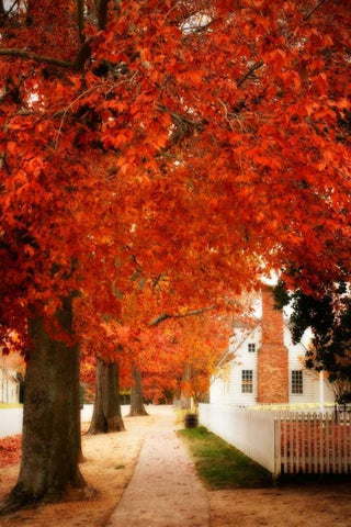 Small Town Autumn I White Modern Wood Framed Art Print with Double Matting by Hausenflock, Alan