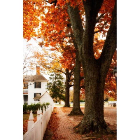 Small Town Autumn II White Modern Wood Framed Art Print by Hausenflock, Alan