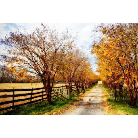 Glen Allen Farm IV White Modern Wood Framed Art Print by Hausenflock, Alan