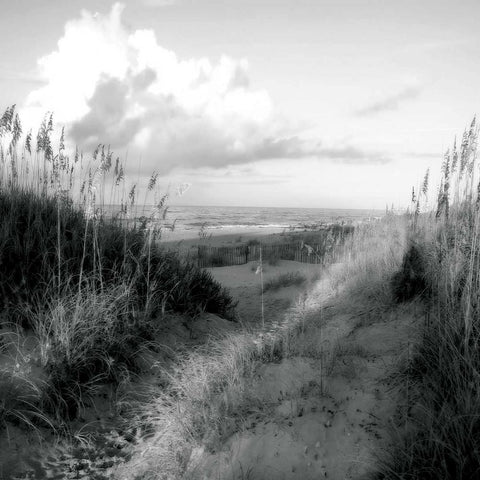 Dunes I Sq. BW White Modern Wood Framed Art Print by Hausenflock, Alan