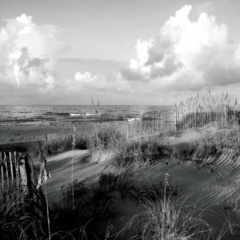 Dunes II Sq. BW Black Modern Wood Framed Art Print with Double Matting by Hausenflock, Alan