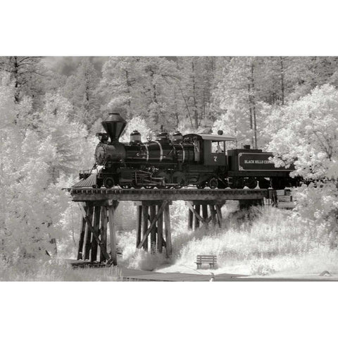 Black Hills RR I Gold Ornate Wood Framed Art Print with Double Matting by Johnson, George