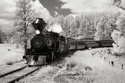 Black Hills RR II Black Ornate Wood Framed Art Print with Double Matting by Johnson, George