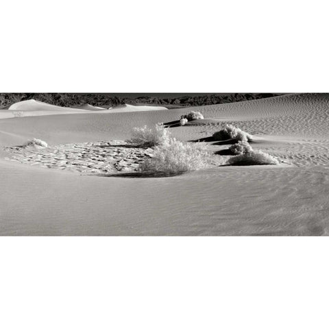 Death Valley Dunes I Black Modern Wood Framed Art Print with Double Matting by Johnson, George