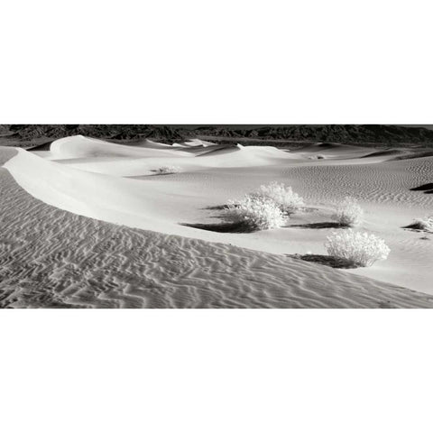 Death Valley Dunes II White Modern Wood Framed Art Print by Johnson, George