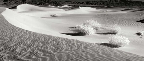 Death Valley Dunes II White Modern Wood Framed Art Print with Double Matting by Johnson, George