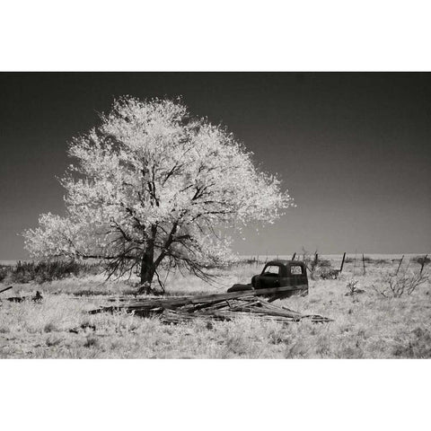 Truck and Tree White Modern Wood Framed Art Print by Johnson, George