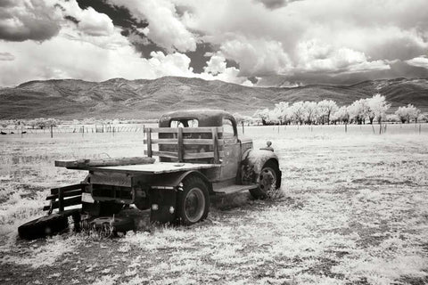 Truck in Field Black Ornate Wood Framed Art Print with Double Matting by Johnson, George