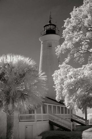 St. Marks Lighthouse Black Ornate Wood Framed Art Print with Double Matting by Johnson, George