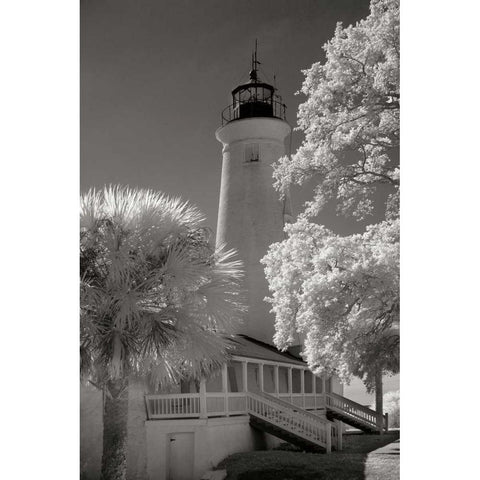 St. Marks Lighthouse Gold Ornate Wood Framed Art Print with Double Matting by Johnson, George