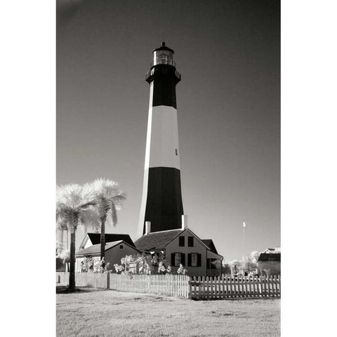 Tybee Island Lighthouse Black Modern Wood Framed Art Print with Double Matting by Johnson, George