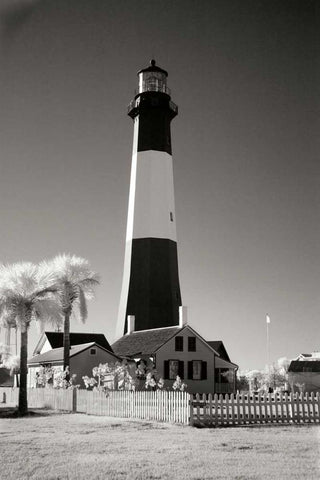 Tybee Island Lighthouse White Modern Wood Framed Art Print with Double Matting by Johnson, George