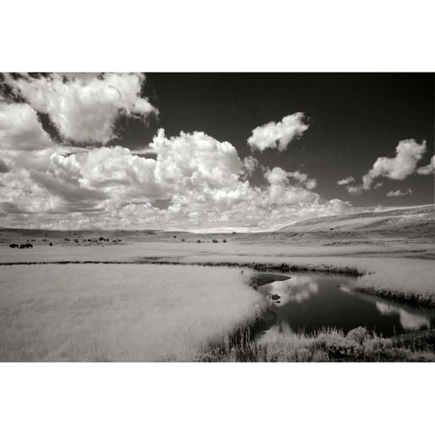 Yellowstone Creek and Clouds I Black Modern Wood Framed Art Print with Double Matting by Johnson, George