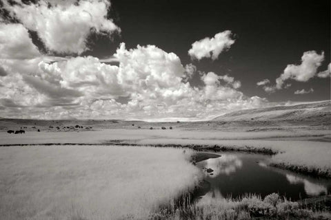 Yellowstone Creek and Clouds I White Modern Wood Framed Art Print with Double Matting by Johnson, George