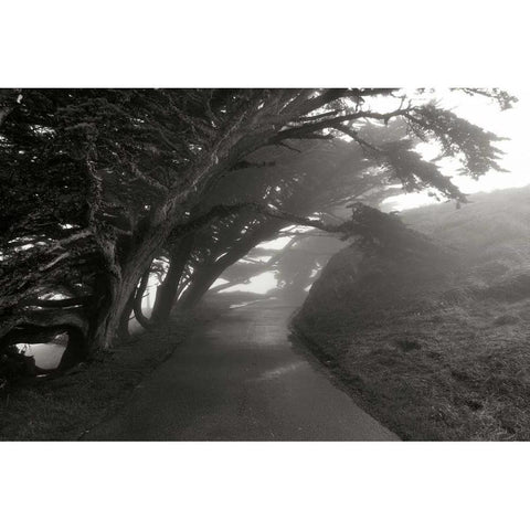 Point Reyes I Black Modern Wood Framed Art Print by Johnson, George