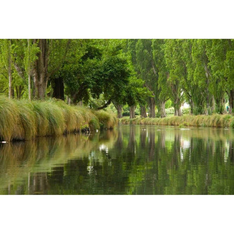 Avon River II White Modern Wood Framed Art Print by Johnson, George