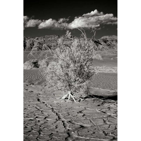 Death Valley Dunes I Black Modern Wood Framed Art Print with Double Matting by Johnson, George