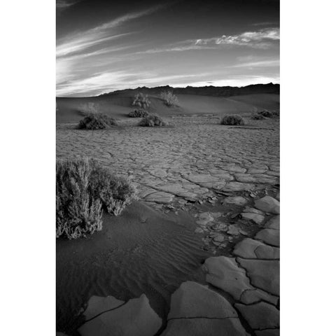 Death Valley Dunes II White Modern Wood Framed Art Print by Johnson, George