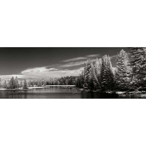 Yellowstone River White Modern Wood Framed Art Print by Johnson, George