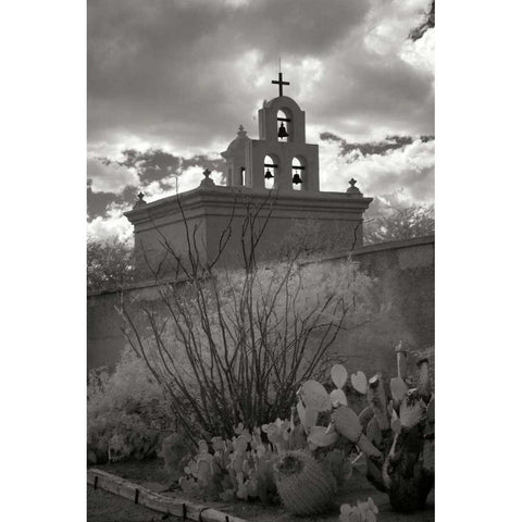 Mission San Xavier III White Modern Wood Framed Art Print by Johnson, George