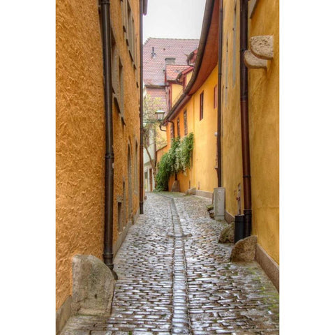 Rothenburg I Black Modern Wood Framed Art Print with Double Matting by Johnson, George