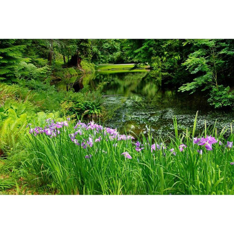 Bloedel Reserve I Black Modern Wood Framed Art Print with Double Matting by Johnson, George