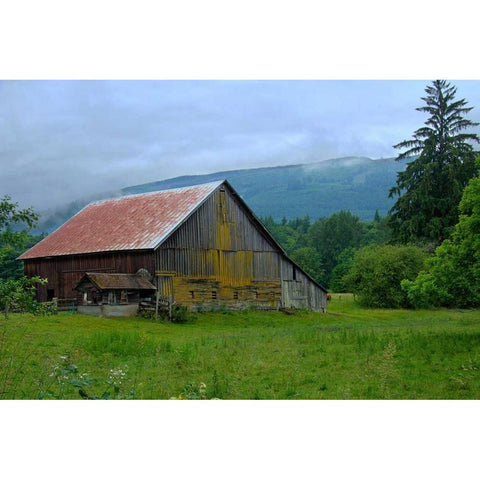 Barn in the Mist Gold Ornate Wood Framed Art Print with Double Matting by Johnson, George