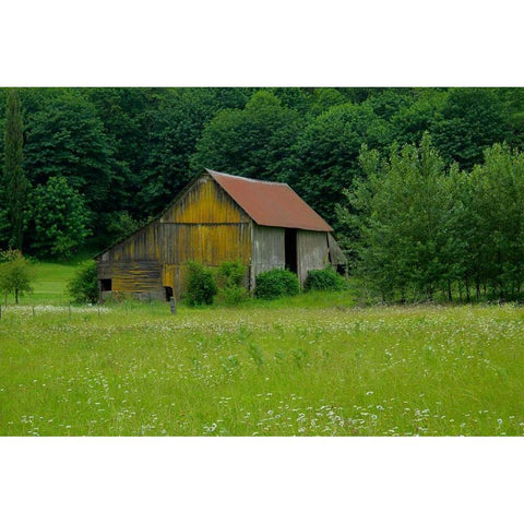 North Cascades Barn Gold Ornate Wood Framed Art Print with Double Matting by Johnson, George