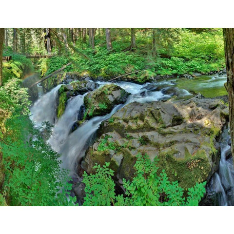 Port Angeles Falls I White Modern Wood Framed Art Print by Johnson, George