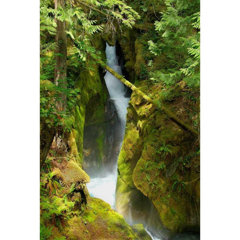 North Cascades NP III White Modern Wood Framed Art Print by Johnson, George