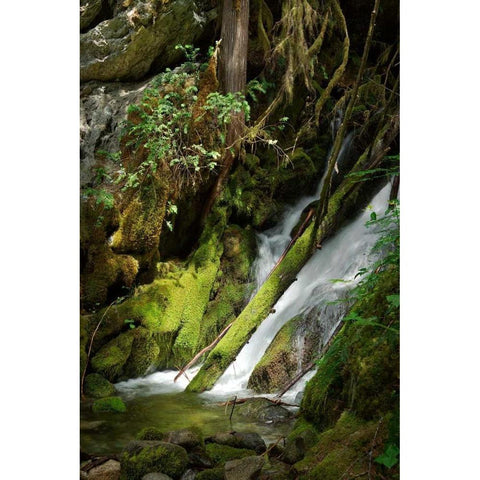 North Cascades NP IV Gold Ornate Wood Framed Art Print with Double Matting by Johnson, George