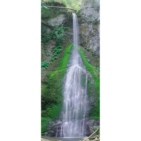 Port Angeles Falls White Modern Wood Framed Art Print by Johnson, George