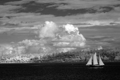 Port Townsend Sailboat I White Modern Wood Framed Art Print with Double Matting by Johnson, George