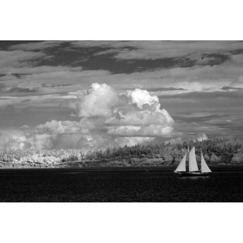 Port Townsend Sailboat I Gold Ornate Wood Framed Art Print with Double Matting by Johnson, George