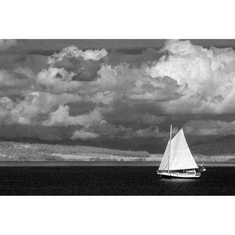 Port Townsend Sailboat II Black Modern Wood Framed Art Print with Double Matting by Johnson, George