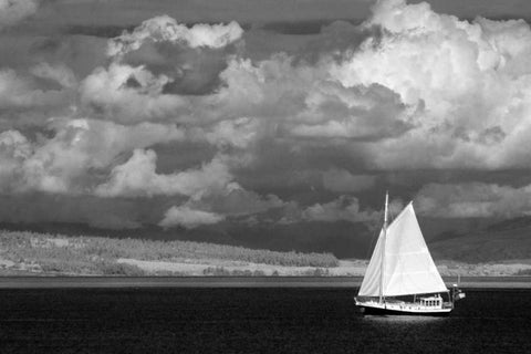 Port Townsend Sailboat II Black Ornate Wood Framed Art Print with Double Matting by Johnson, George