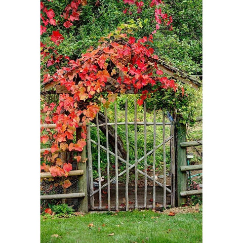 The Garden Gate Gold Ornate Wood Framed Art Print with Double Matting by Johnson, George