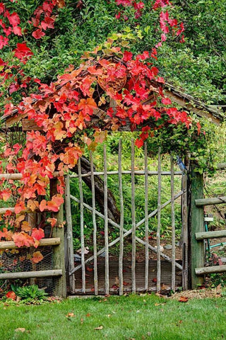 The Garden Gate White Modern Wood Framed Art Print with Double Matting by Johnson, George