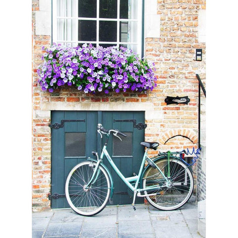 Brugge Door and Bicycle White Modern Wood Framed Art Print by Johnson, George