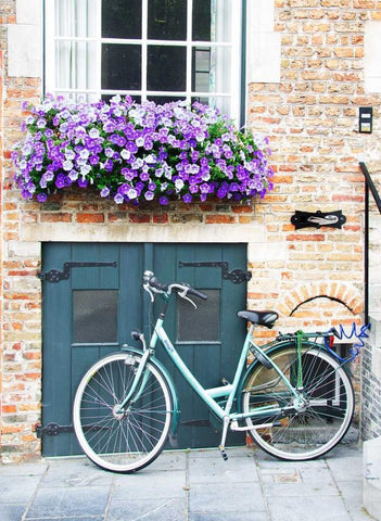 Brugge Door and Bicycle White Modern Wood Framed Art Print with Double Matting by Johnson, George