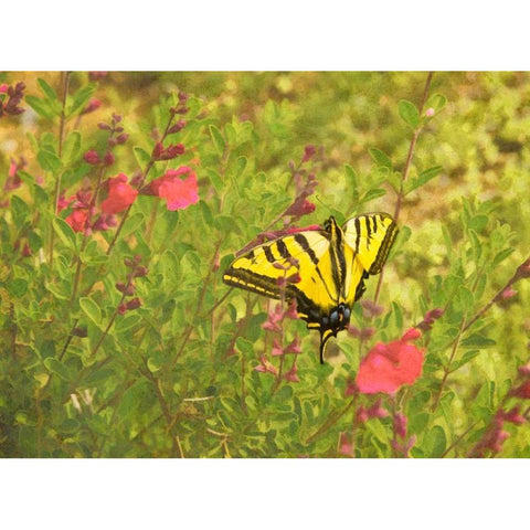 Butterfly and Flowers Gold Ornate Wood Framed Art Print with Double Matting by Johnson, George