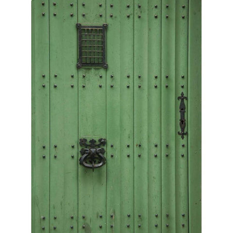 Ghent Green Door Black Modern Wood Framed Art Print by Johnson, George